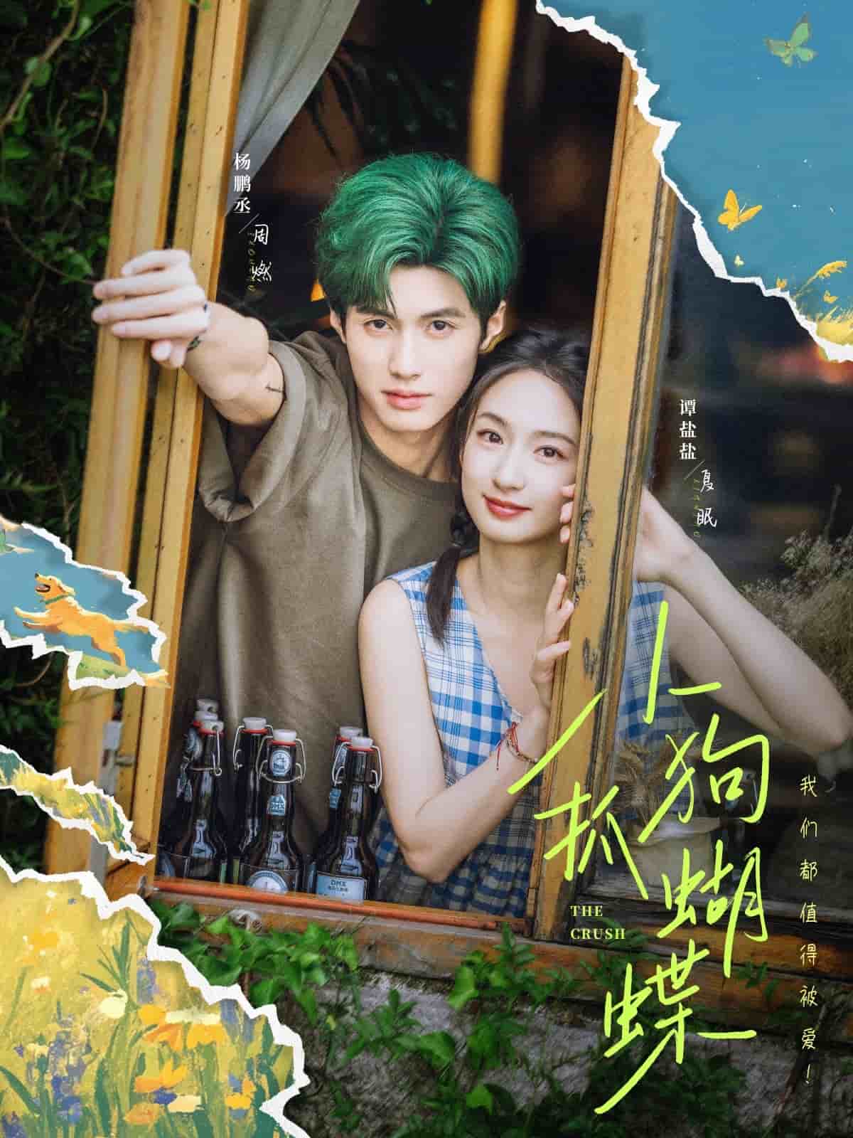 小狗抓蝴蝶第33集