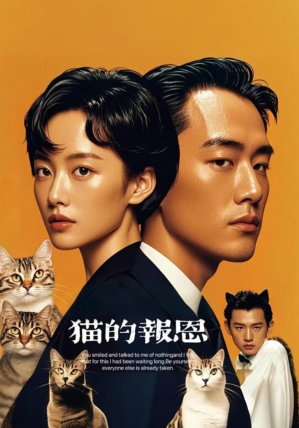 猫的报恩（短剧版）第19集