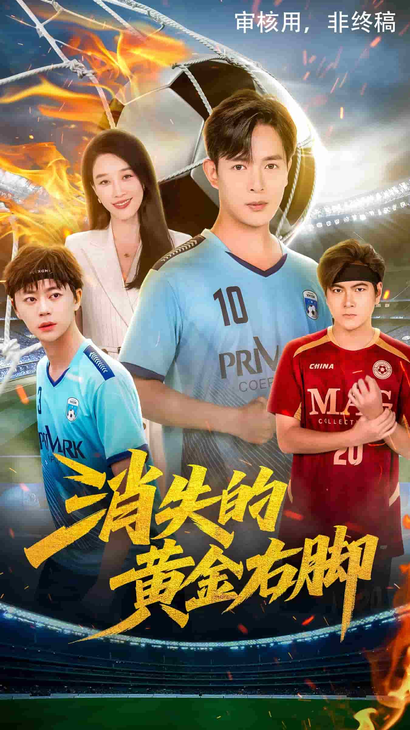 消失的黄金右脚第2集
