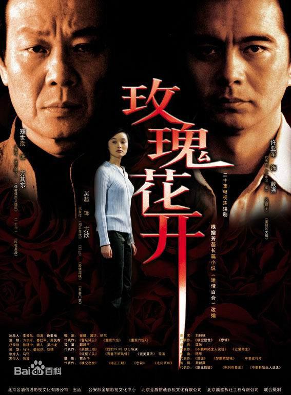 玫瑰花开第13集
