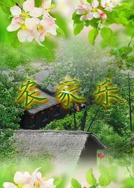 农家乐第100集
