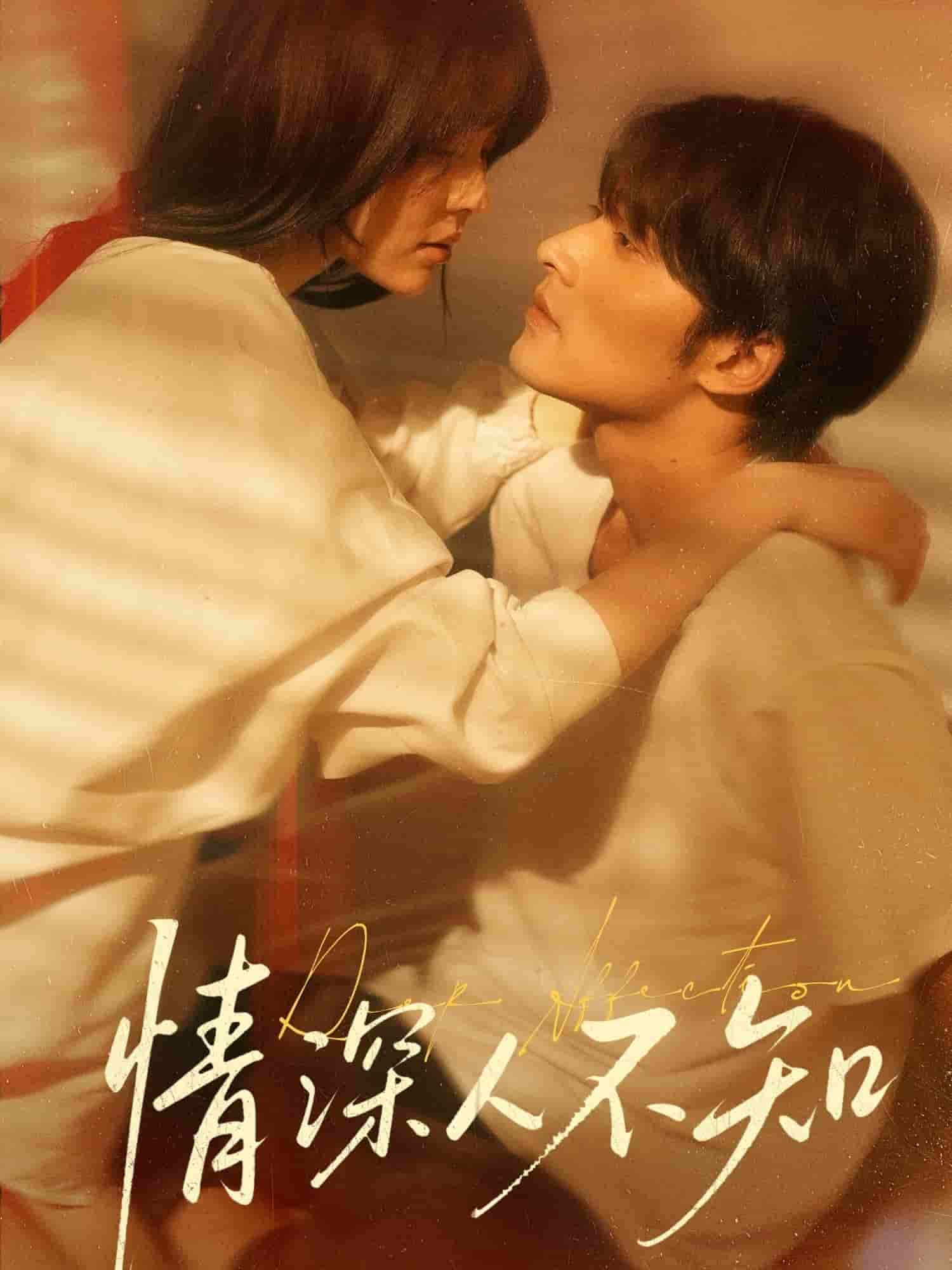 情深人不知(全集)