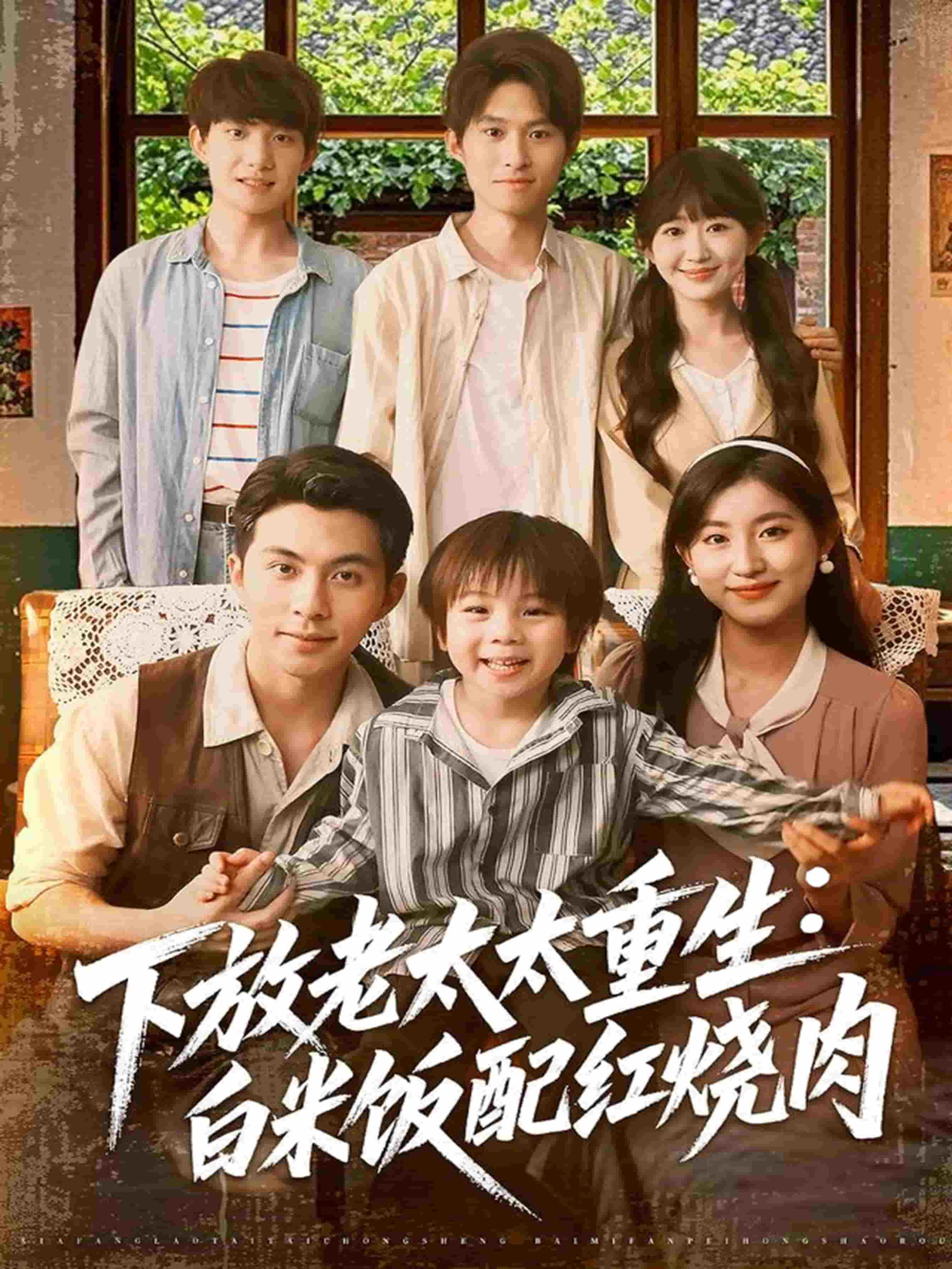 下放老太太重生白米饭配红烧肉(全集)