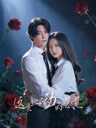 这就是心动的感觉(全集)