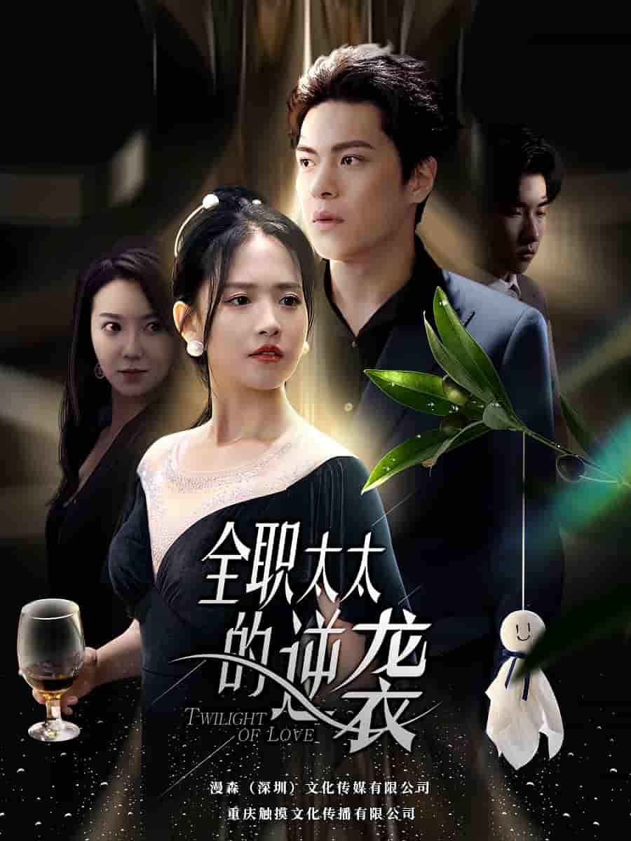 全职太太的逆袭第43集