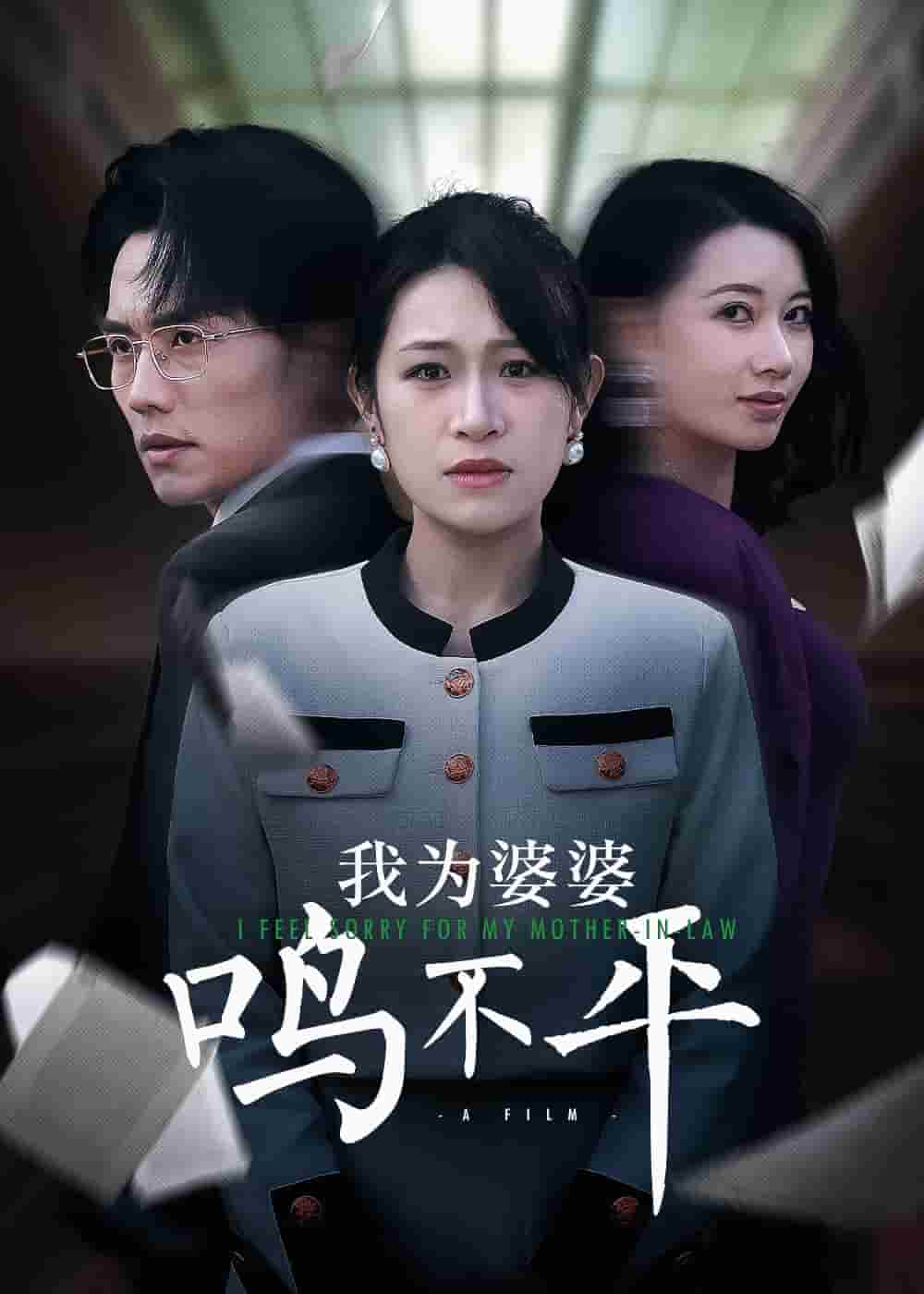 我为婆婆鸣不平第28集