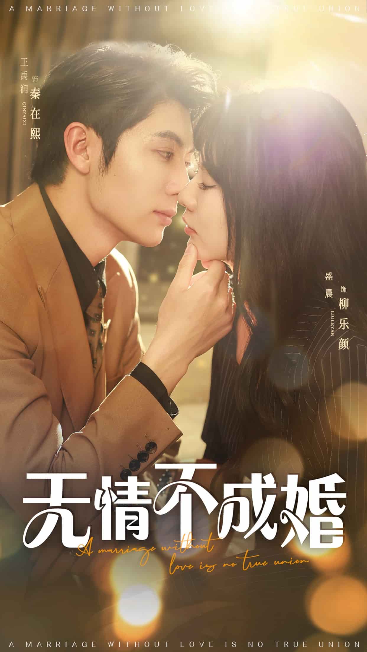 无情不成婚第70集(大结局)