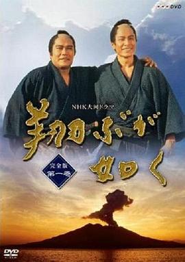 宛如飞翔第39集