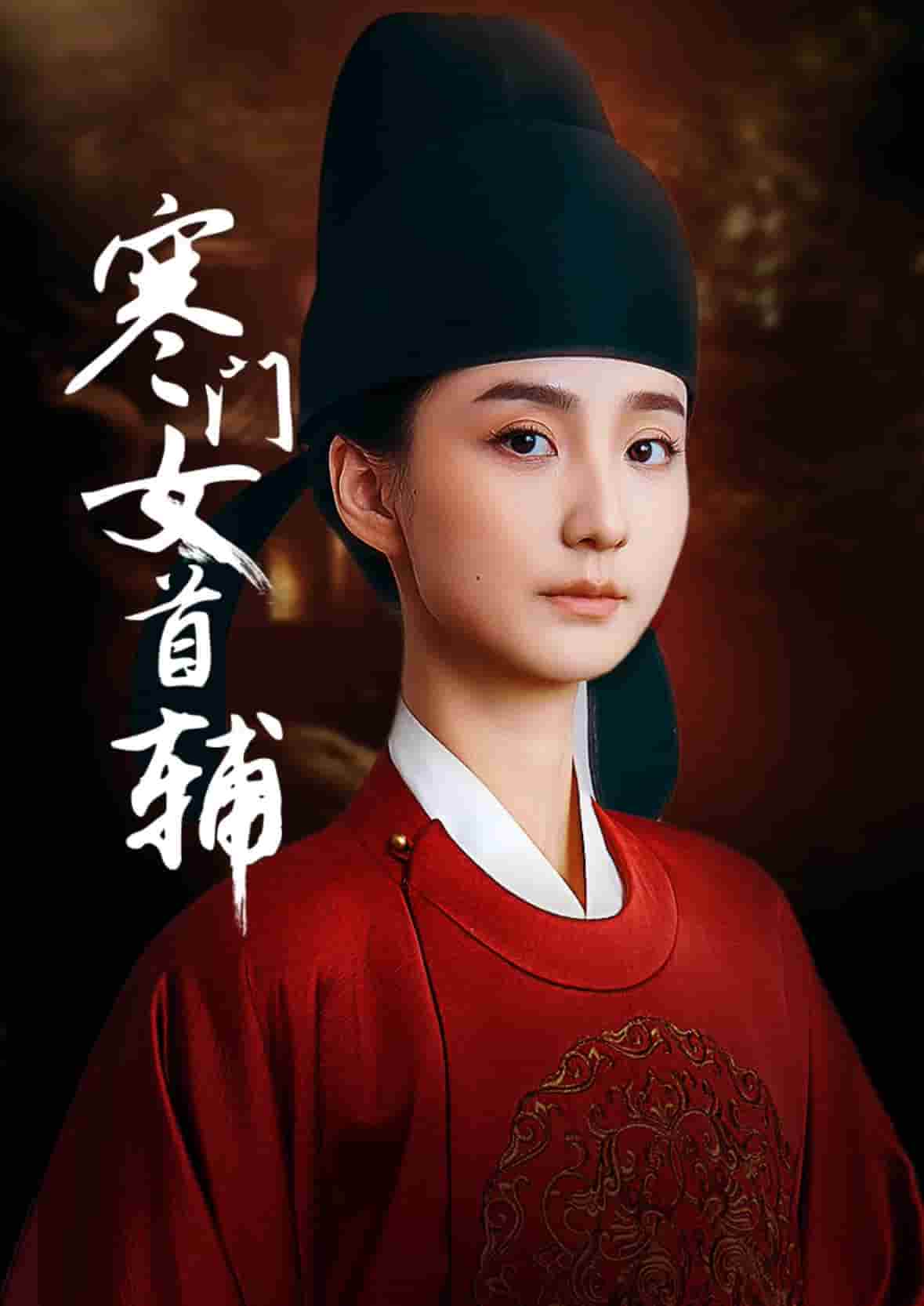 寒门女首辅第1集
