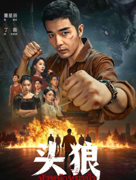 头狼第60集