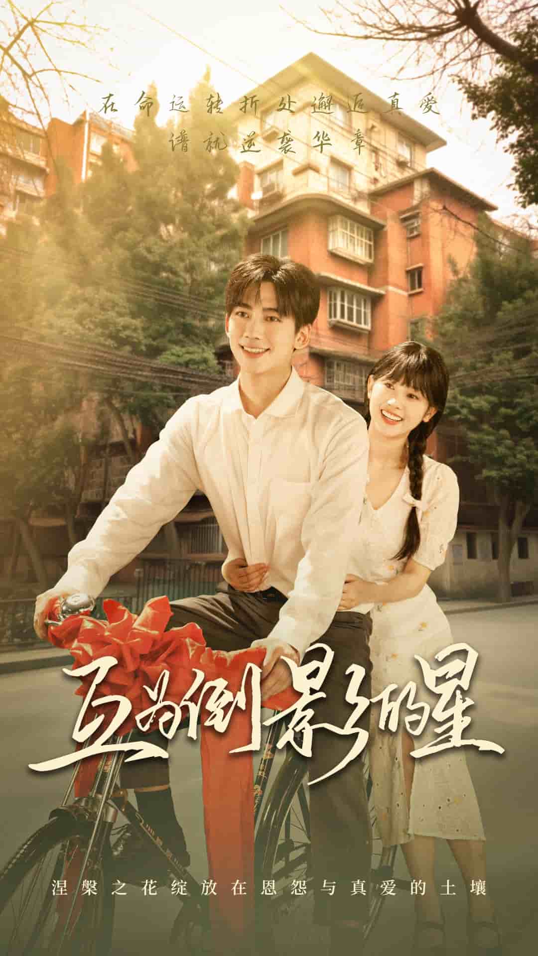 互为倒影的星(全集)