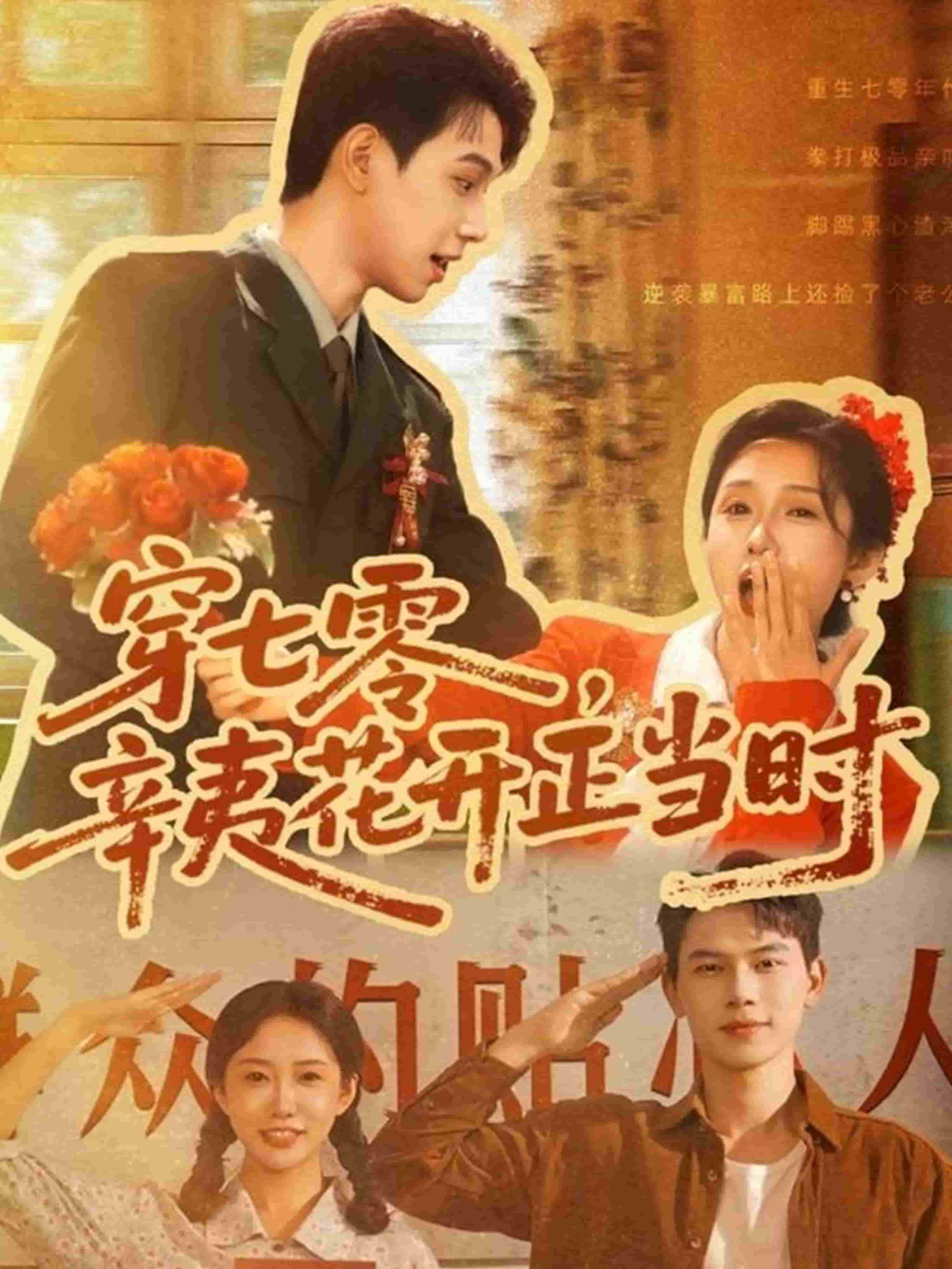 穿七零辛夷花开正当时(全集)