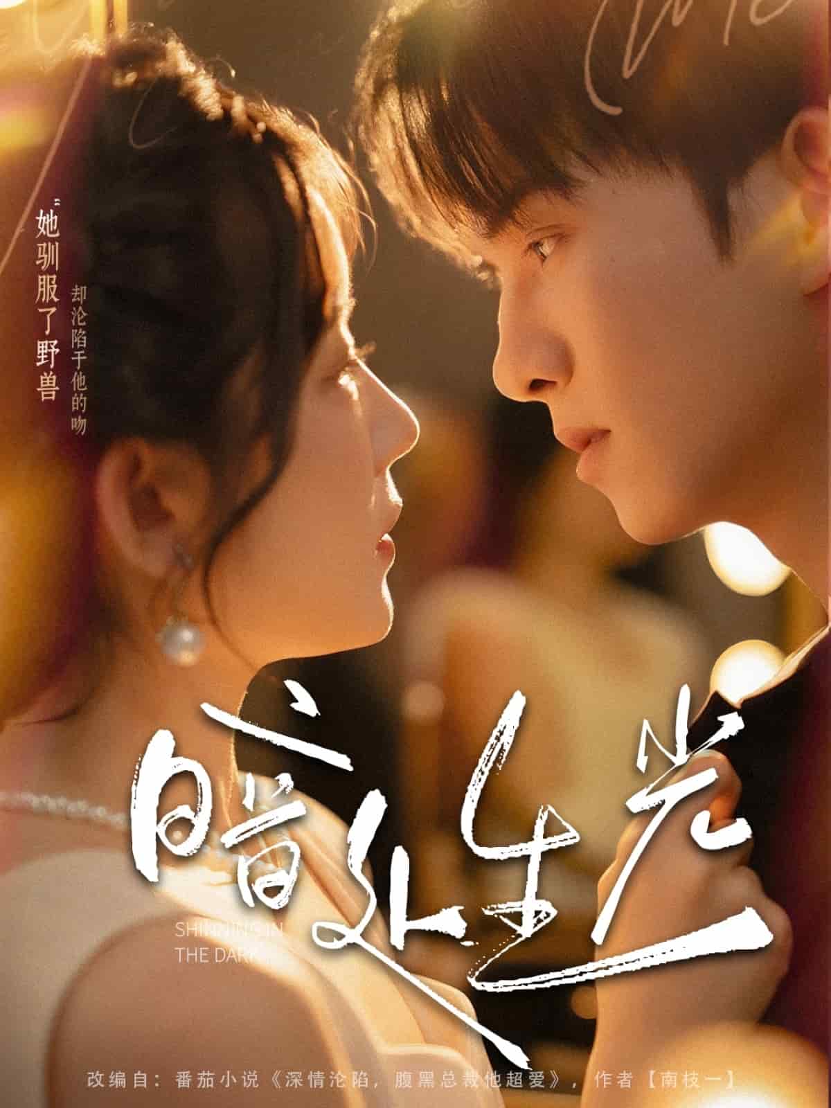 暗处生光(全集)