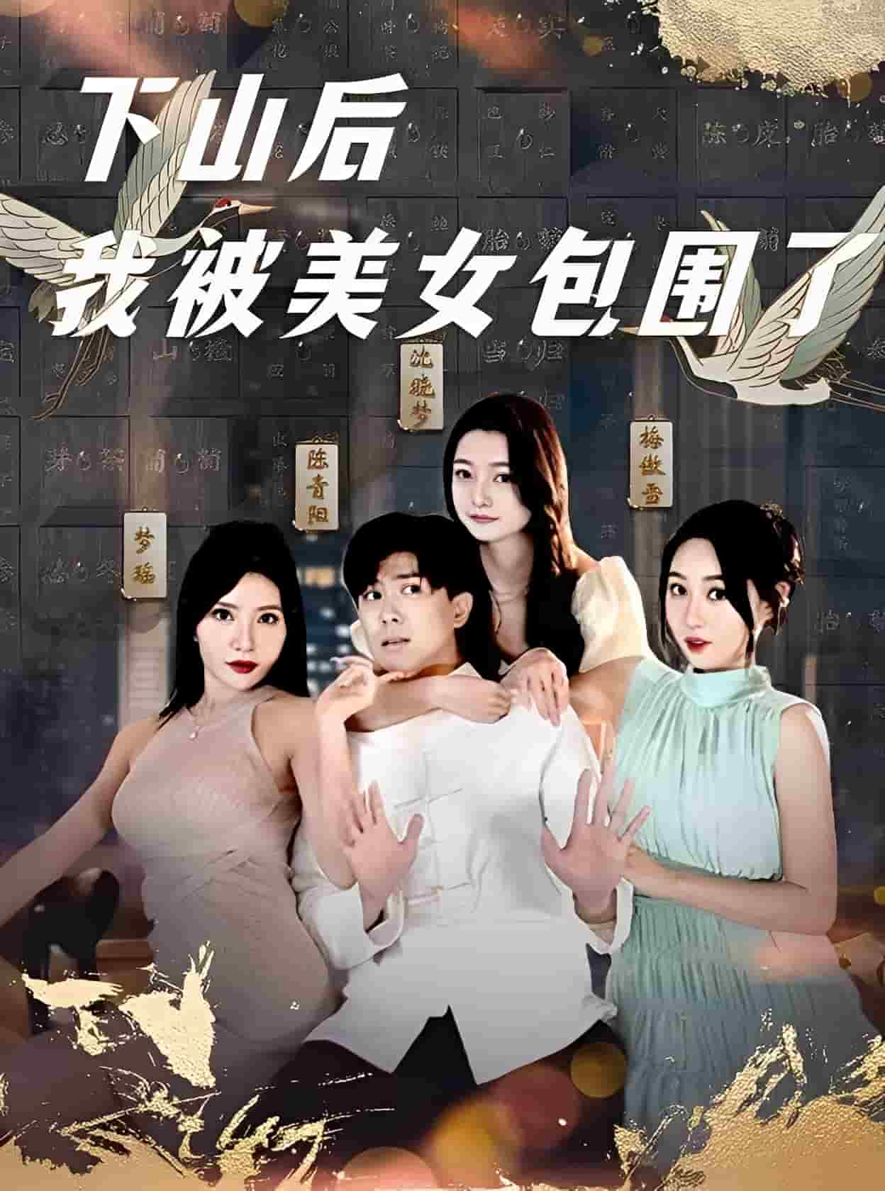 下山后我被美女包围了(全集)