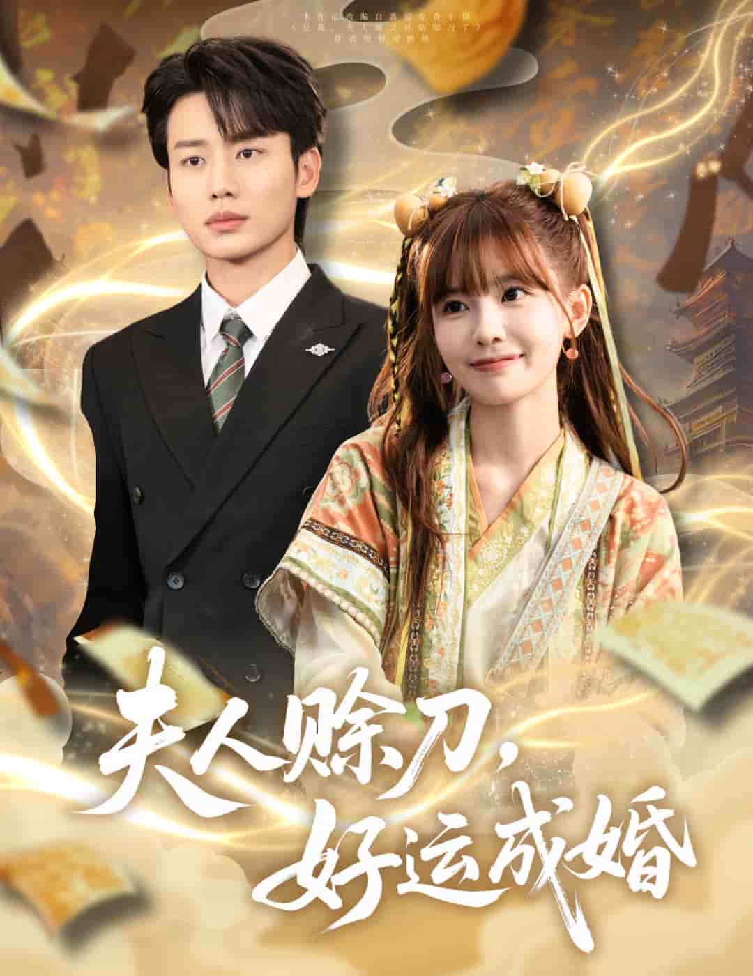 夫人赊刀好运成婚(全集)