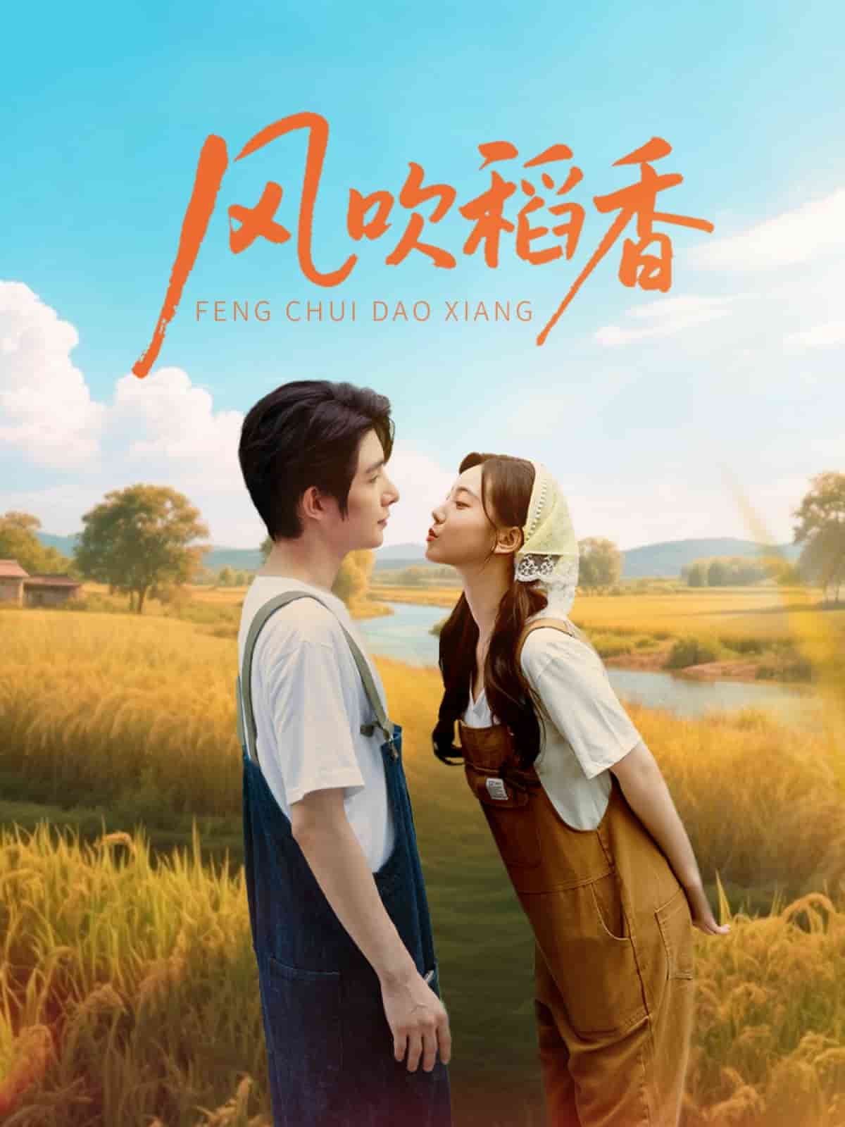 风吹稻香(全集)