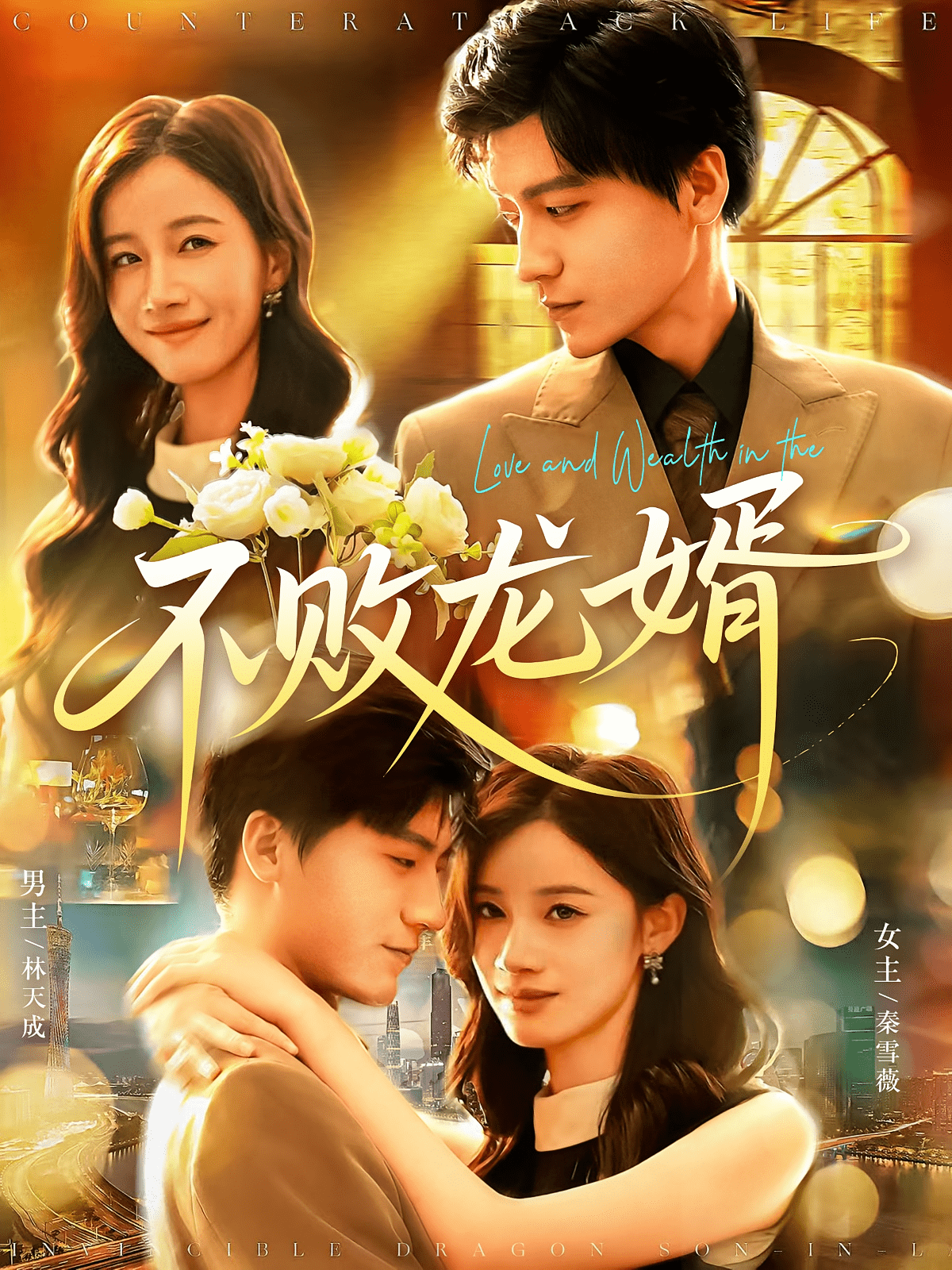 不败龙婿(全集)