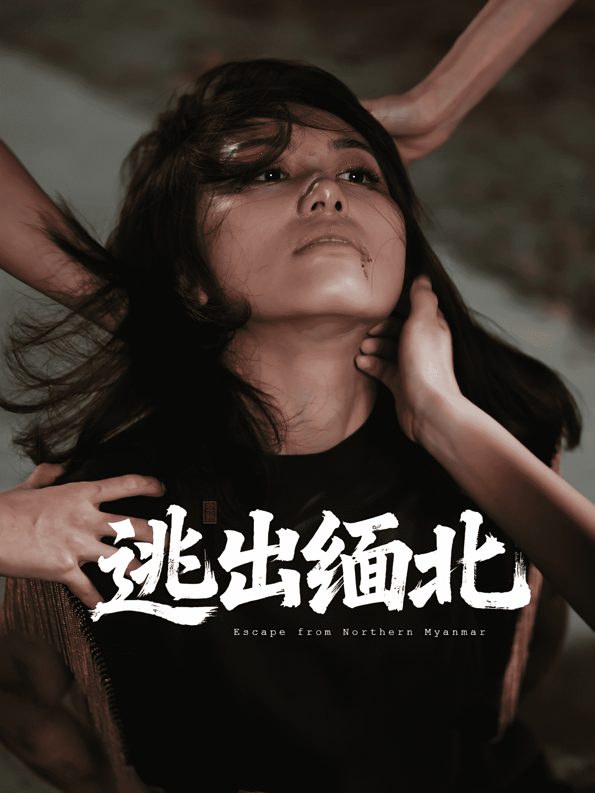 逃出缅北(全集)