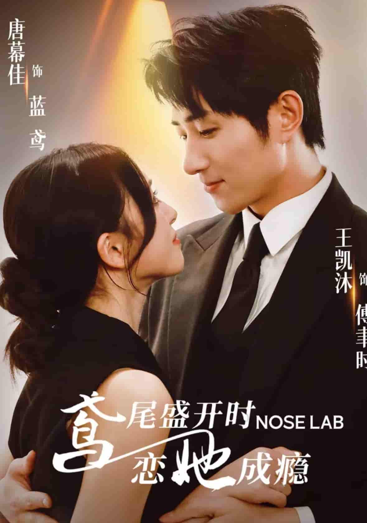 鸢尾盛开时恋她成瘾(全集)