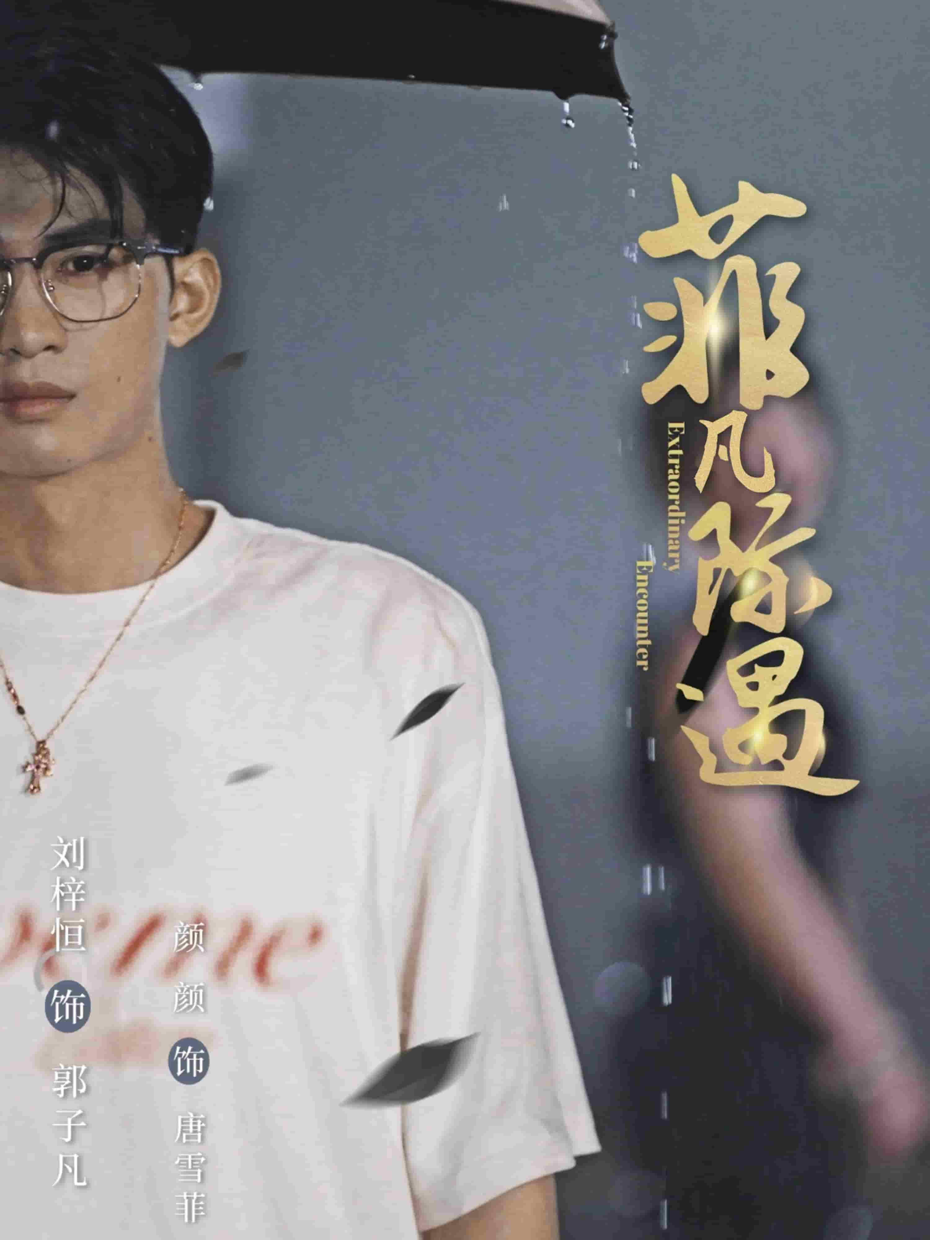 菲凡际遇(全集)