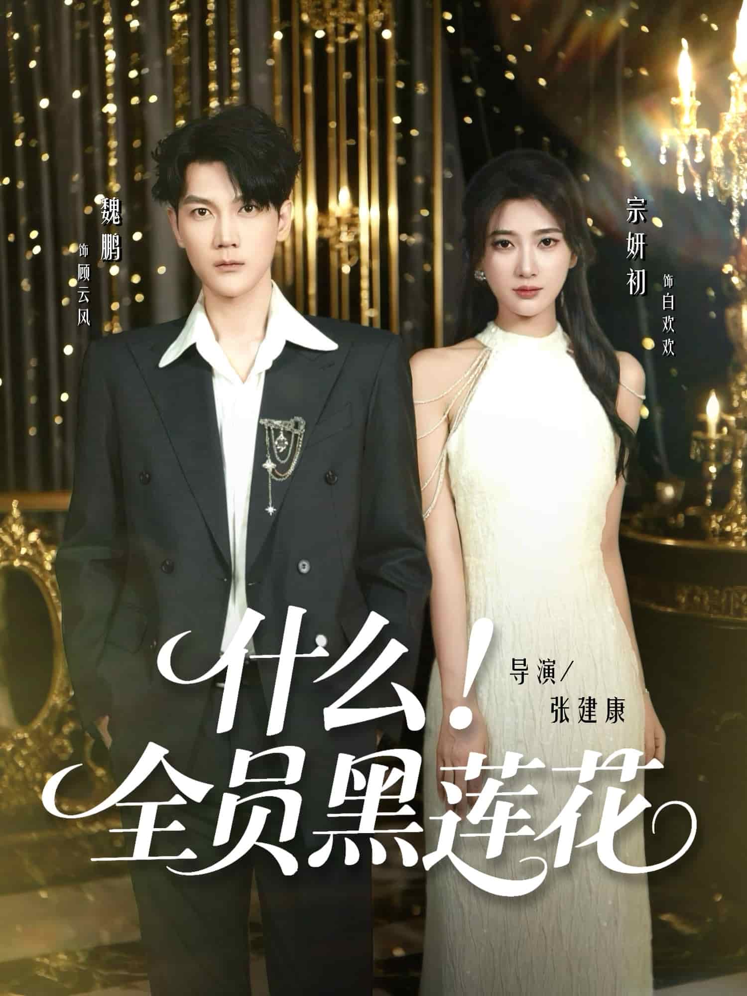 什么全员黑莲花(全集)