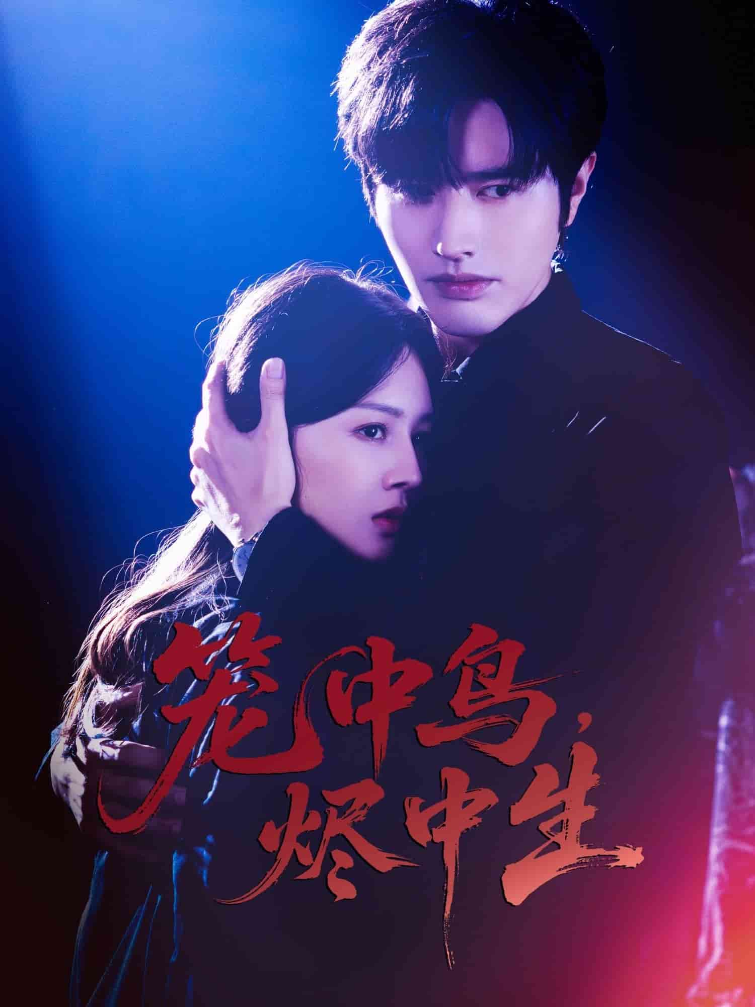 笼中鸟，烬中生(全集)