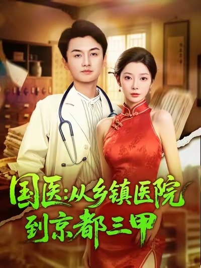 国医从乡镇医院到京都三甲(全集)