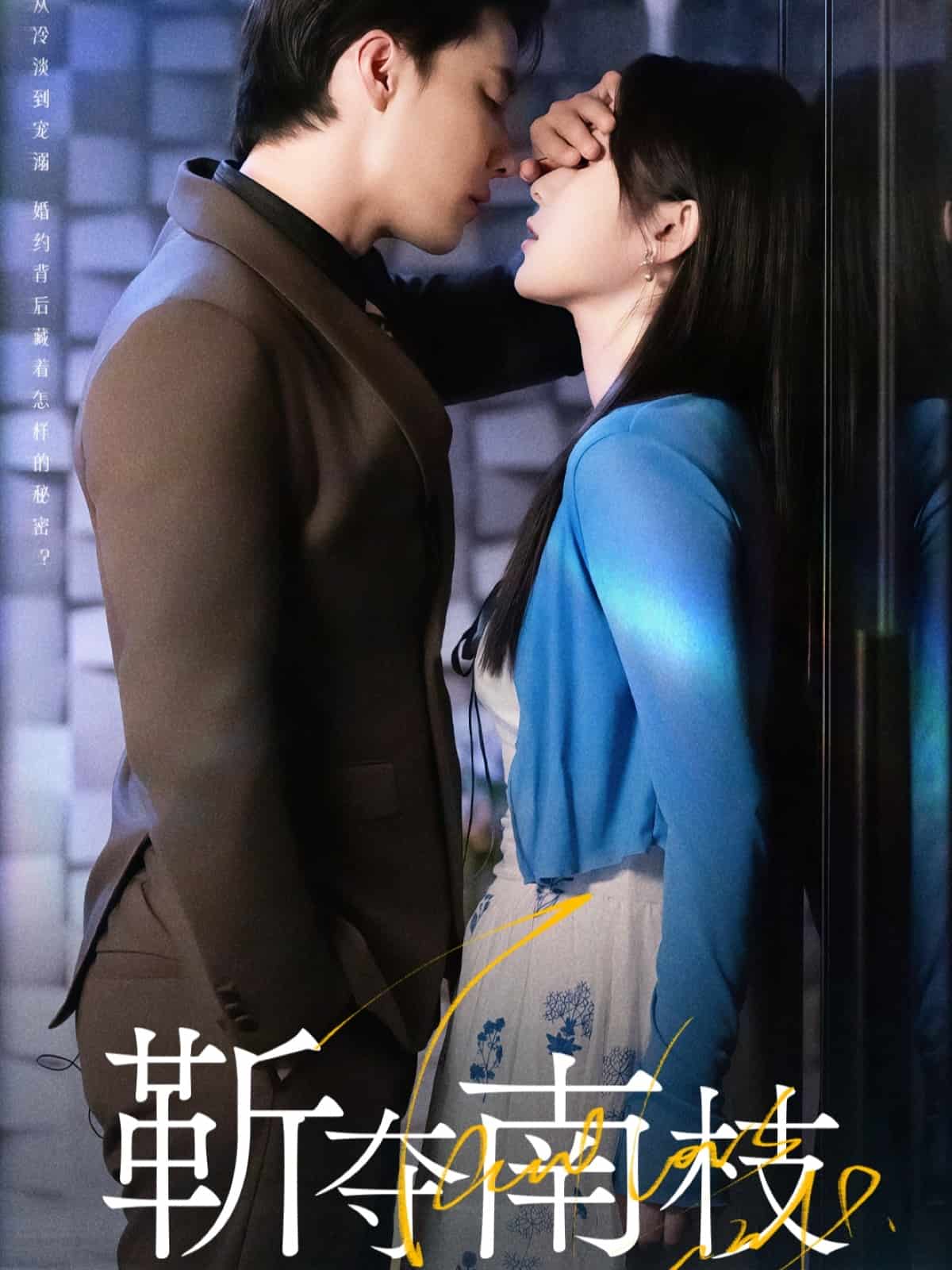 靳夺南枝(全集)