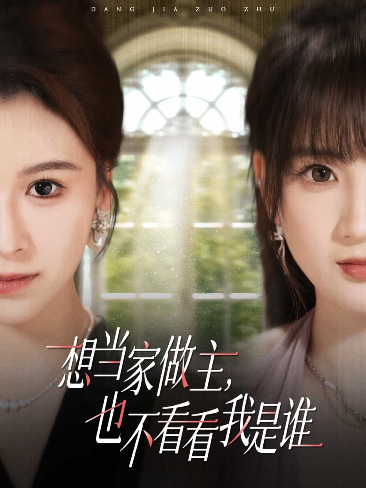 想当家做主，也不看看我是谁(全集)