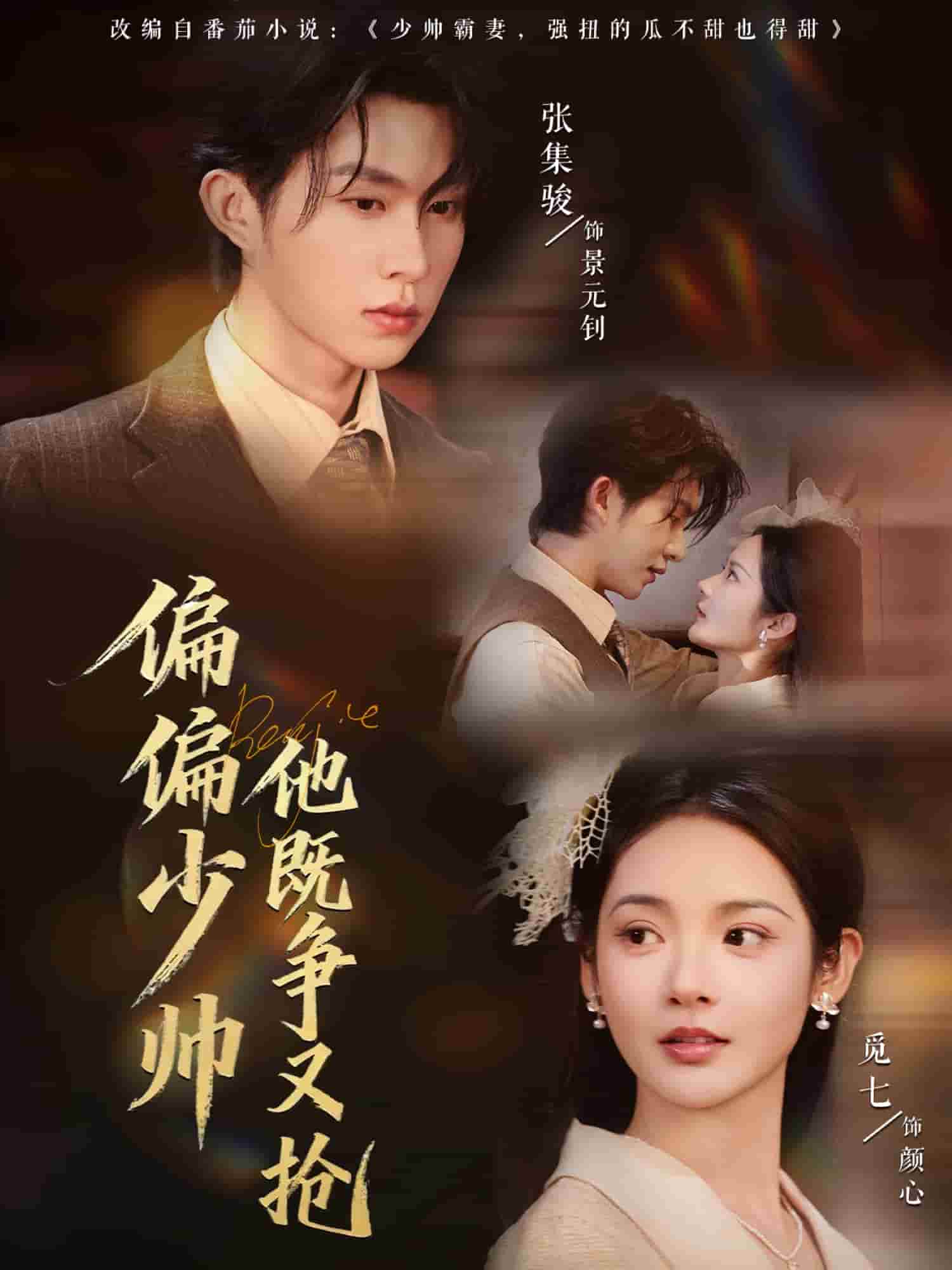 偏偏少帅他既争又抢(全集)