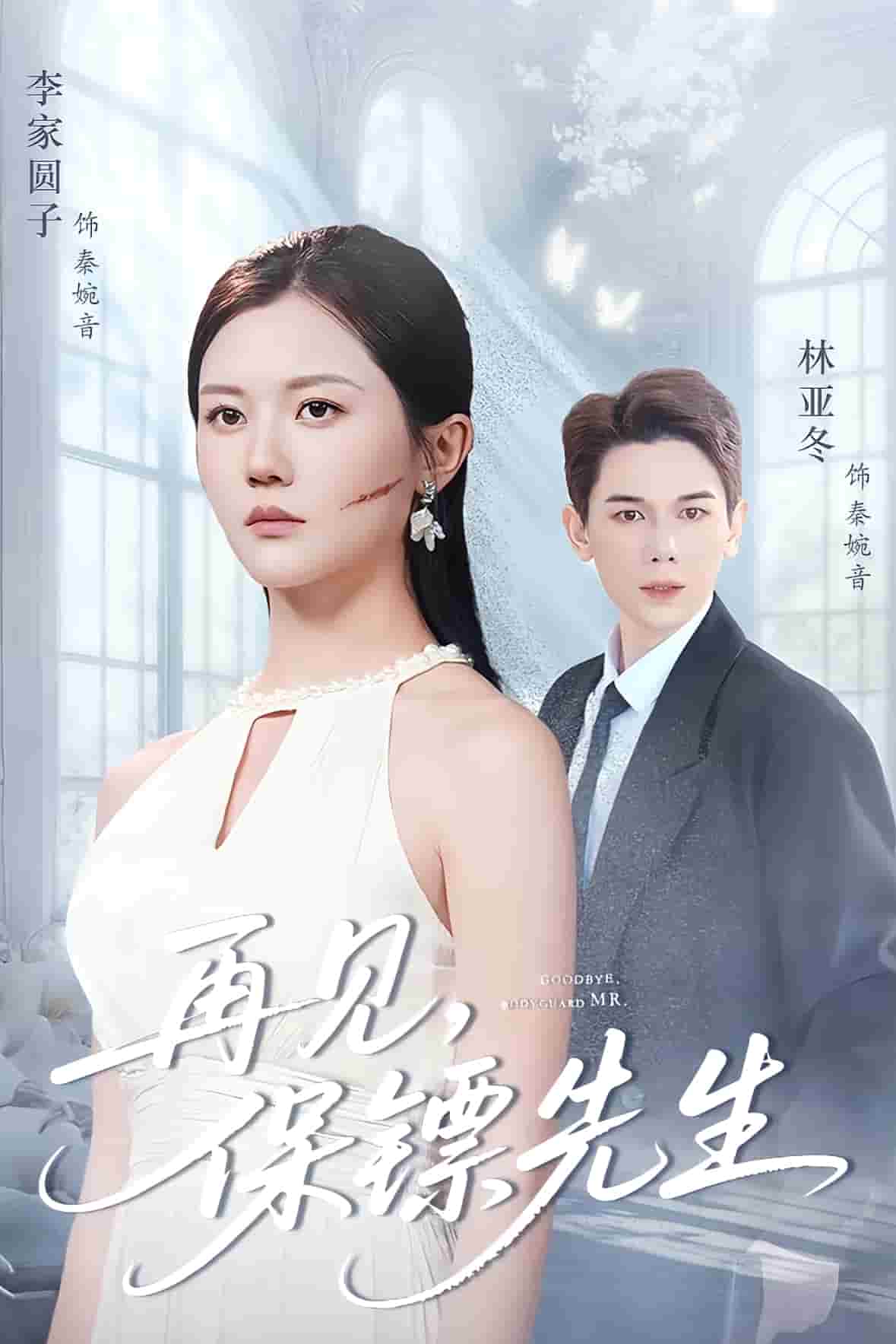 保镖先生我不要你了(全集)