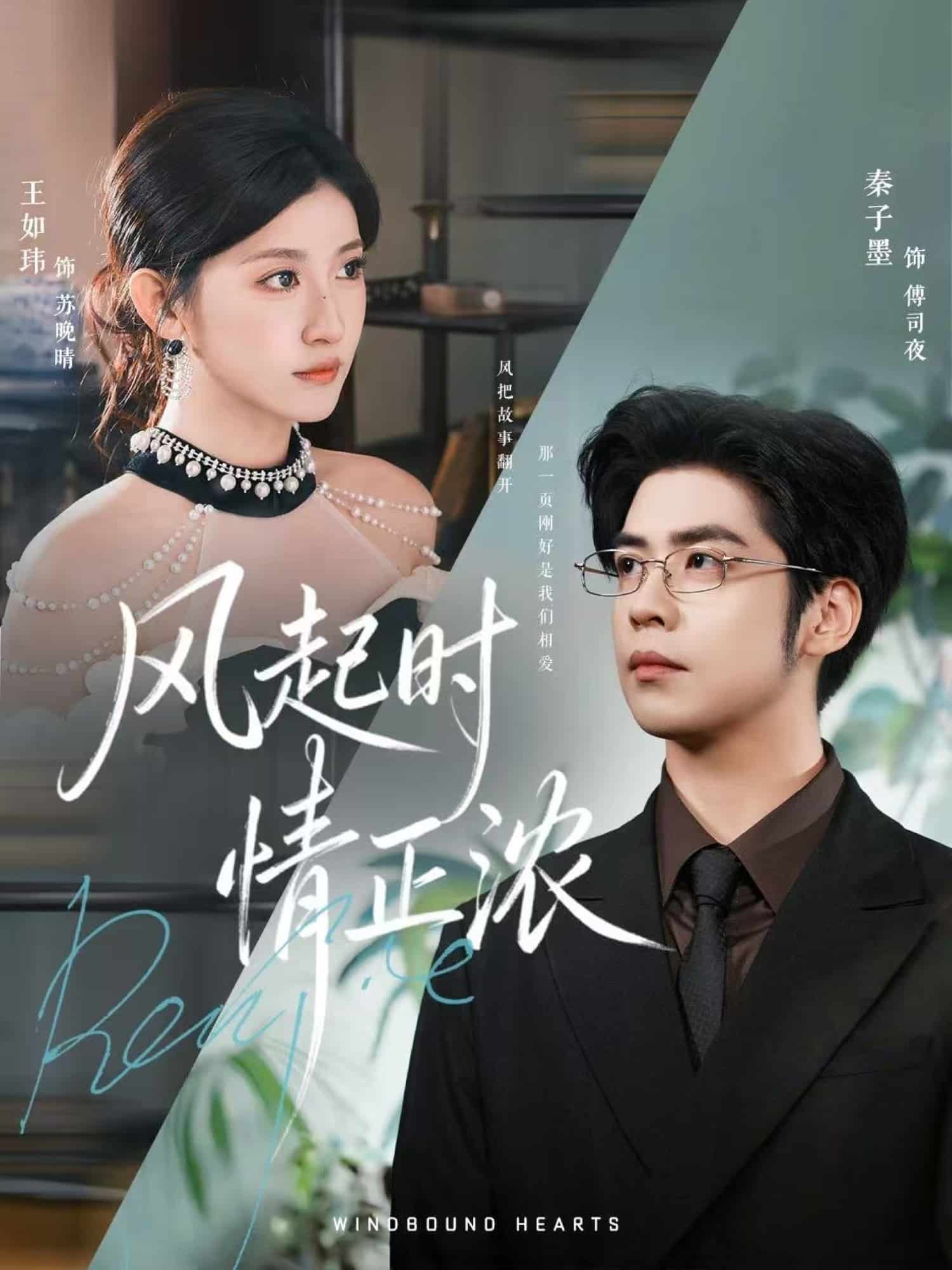 风起时情正浓(全集)